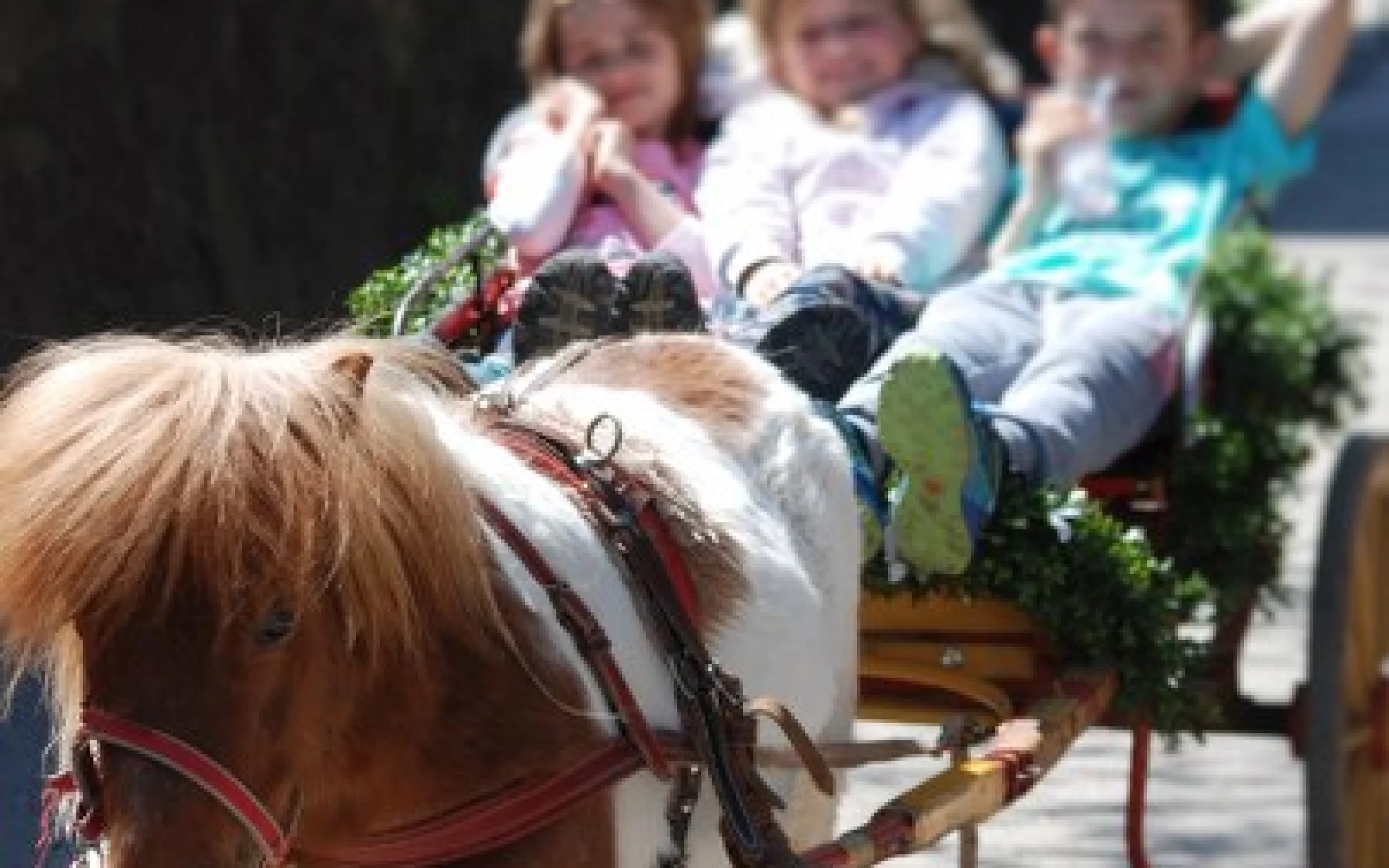 Kassinghof 6_402x600.JPG